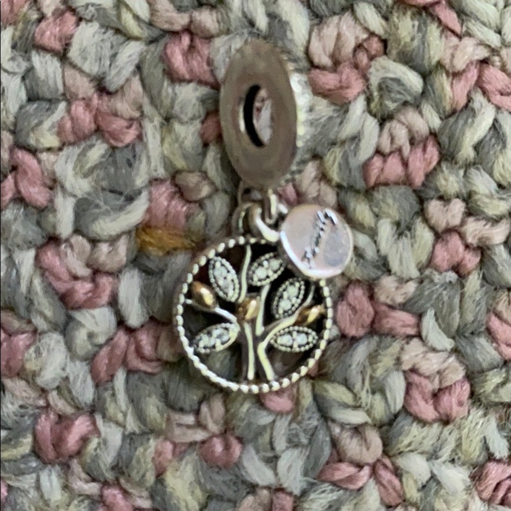 Circle of Life Pandora Charm